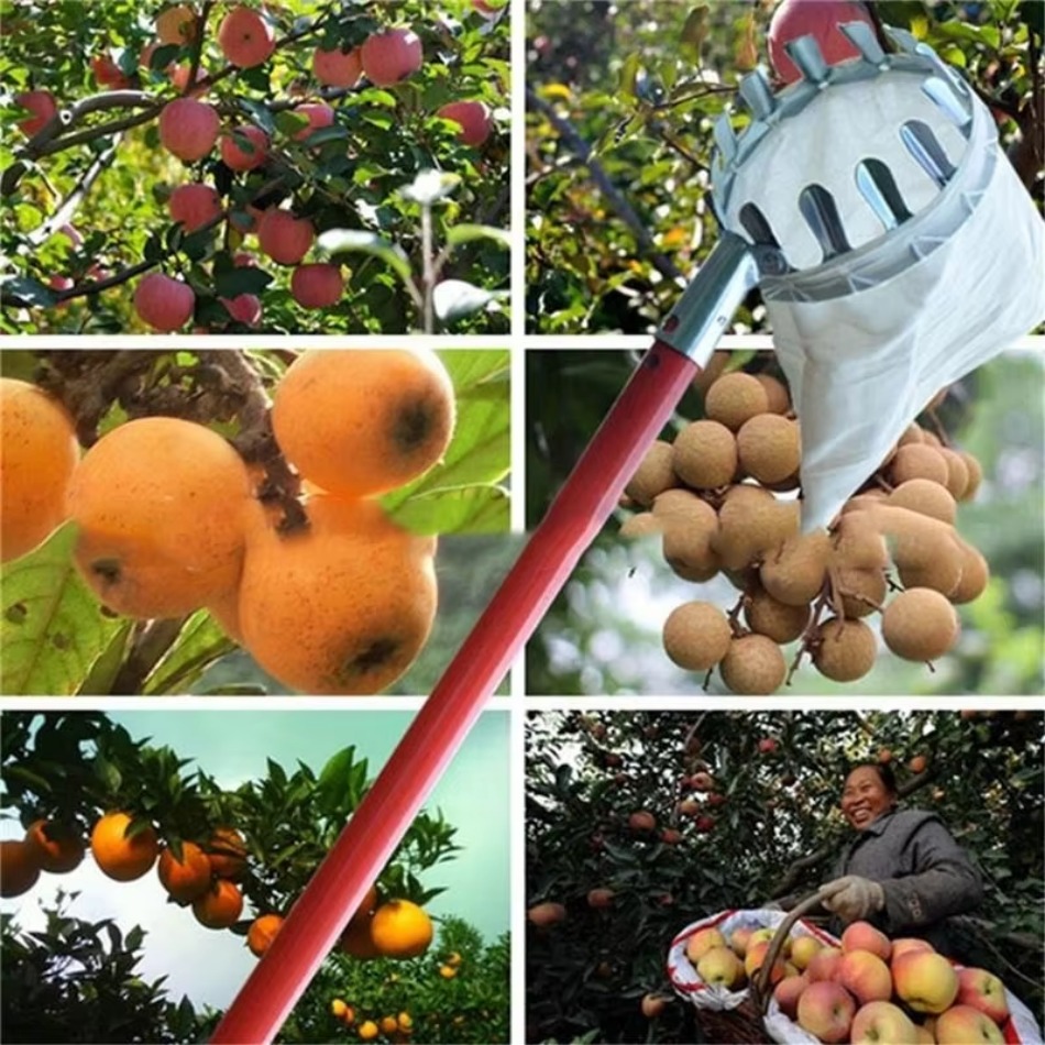 Farming Agriculture Tools - Multi Purpose Telescopic Galvanized Iron Fruit
