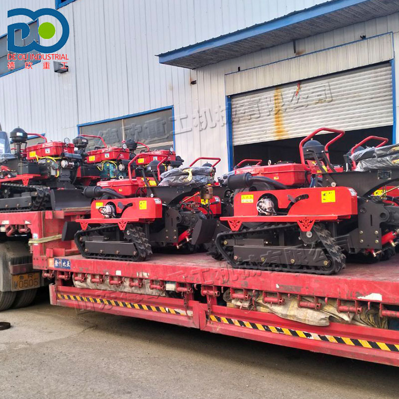 1-Year Warranty Compact Size C - Farming Year recension och pris