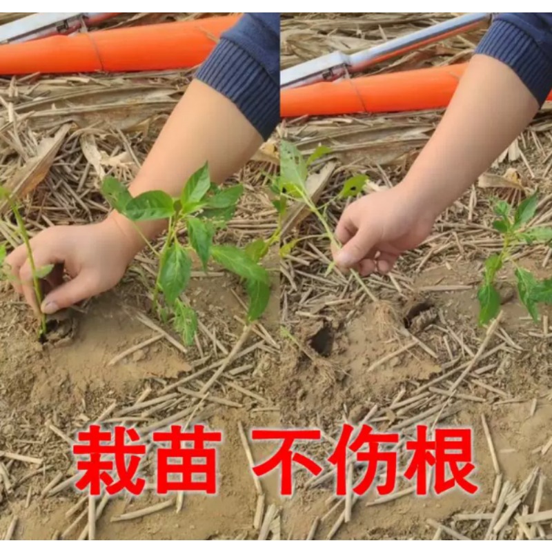 Agricultural Seedling Transpla - Farming Agriculture Tools recension och pris