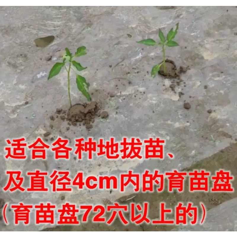 Agricultural Seedling Transpla - Farming Agriculture Tools recension och pris