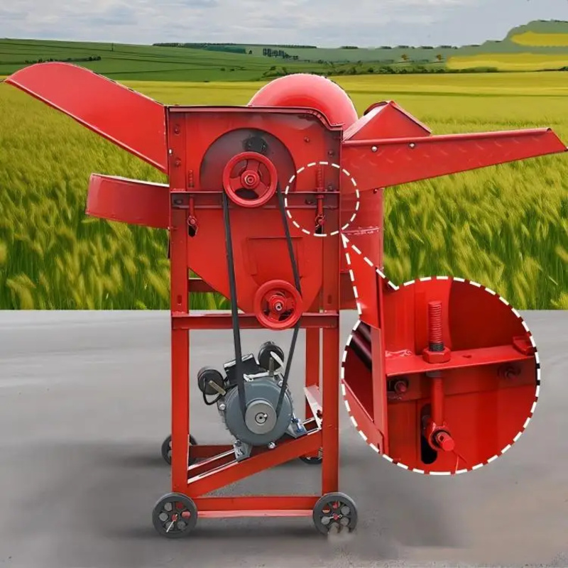 Birui Multifunctional Mini Aut - Rice Thresher Machine recension och pris
